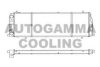 AUDI 431121253A Radiator, engine cooling